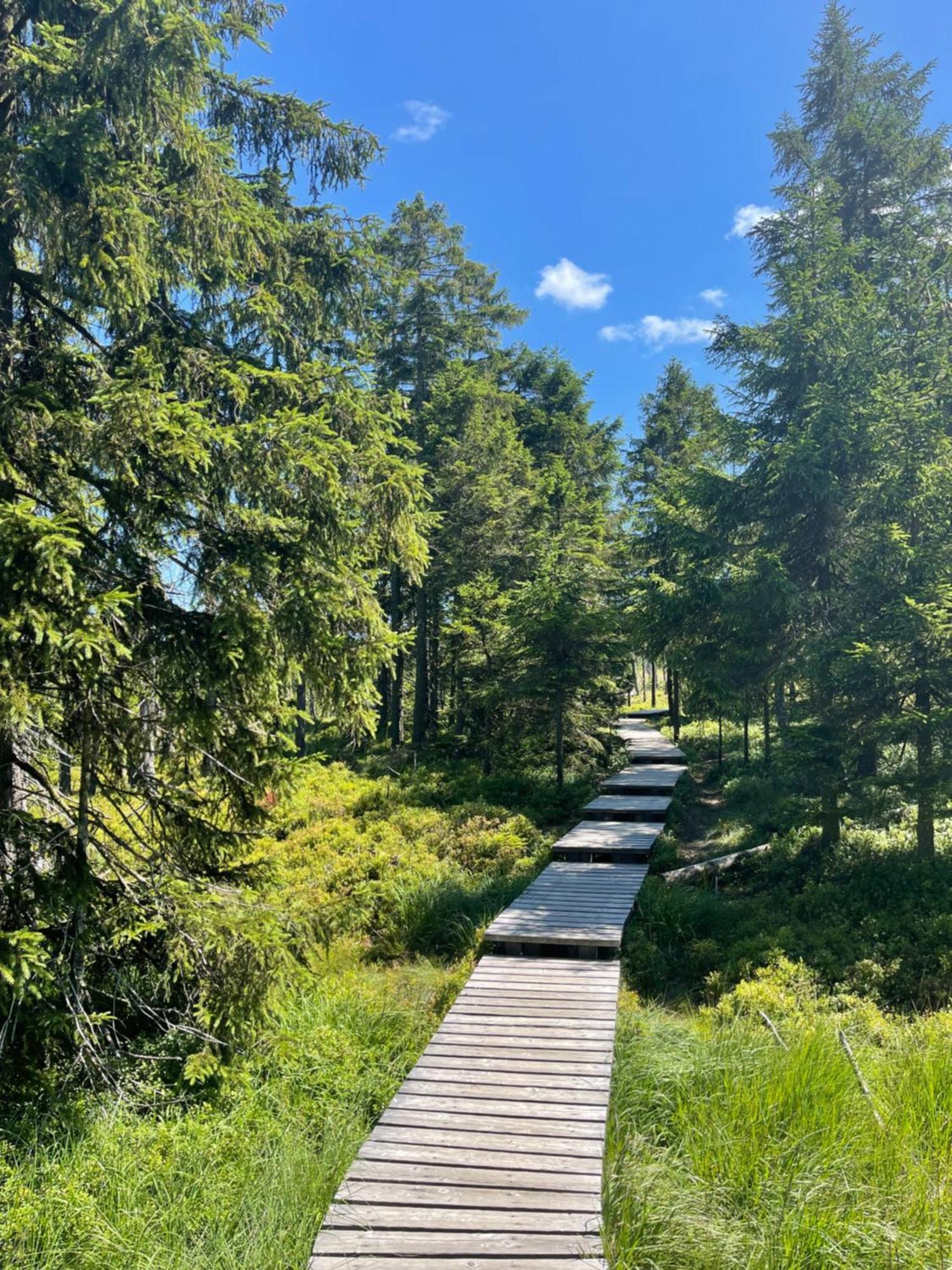 Harz Escape Daire Torfhaus Dış mekan fotoğraf