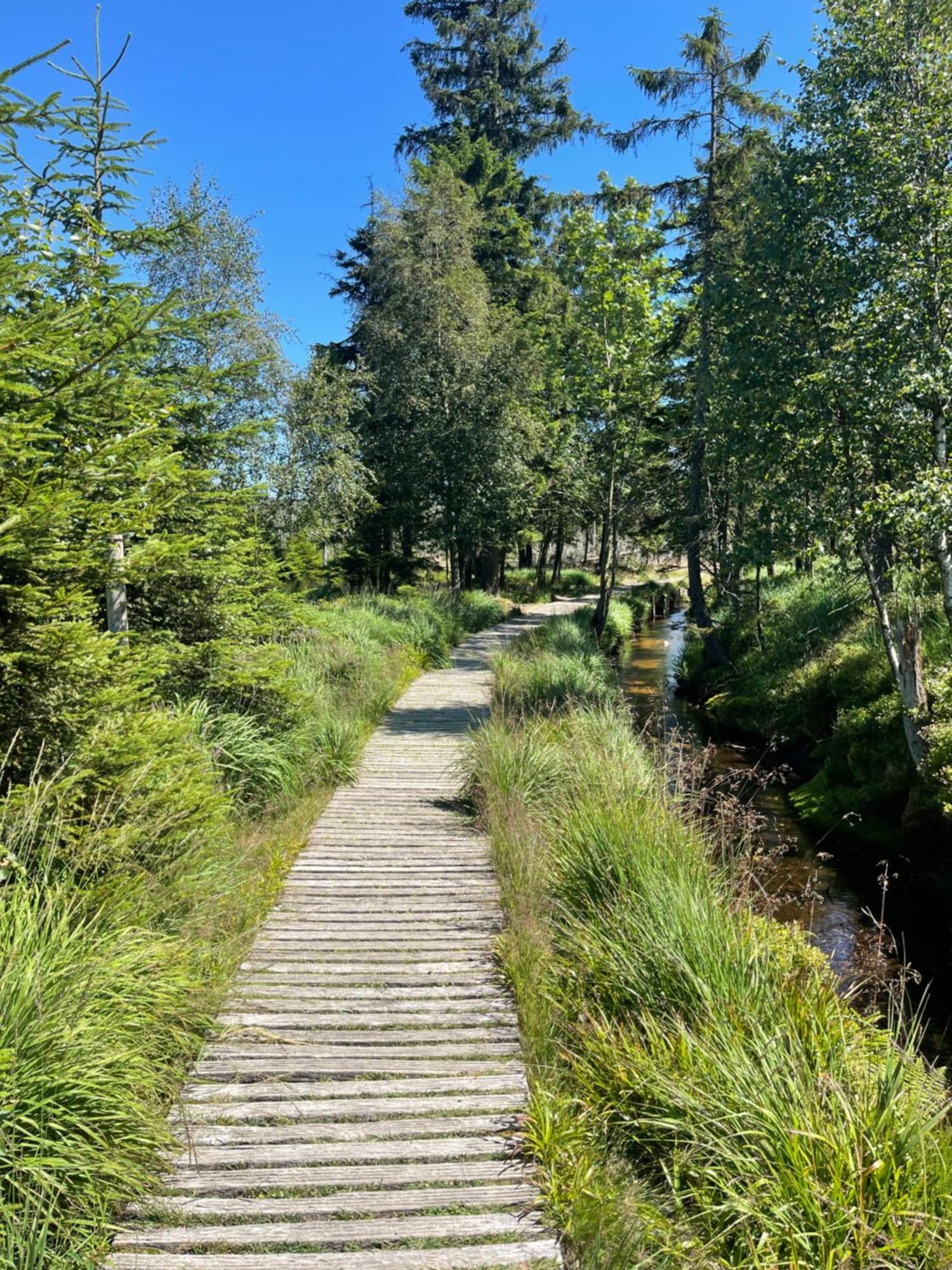 Harz Escape Daire Torfhaus Dış mekan fotoğraf